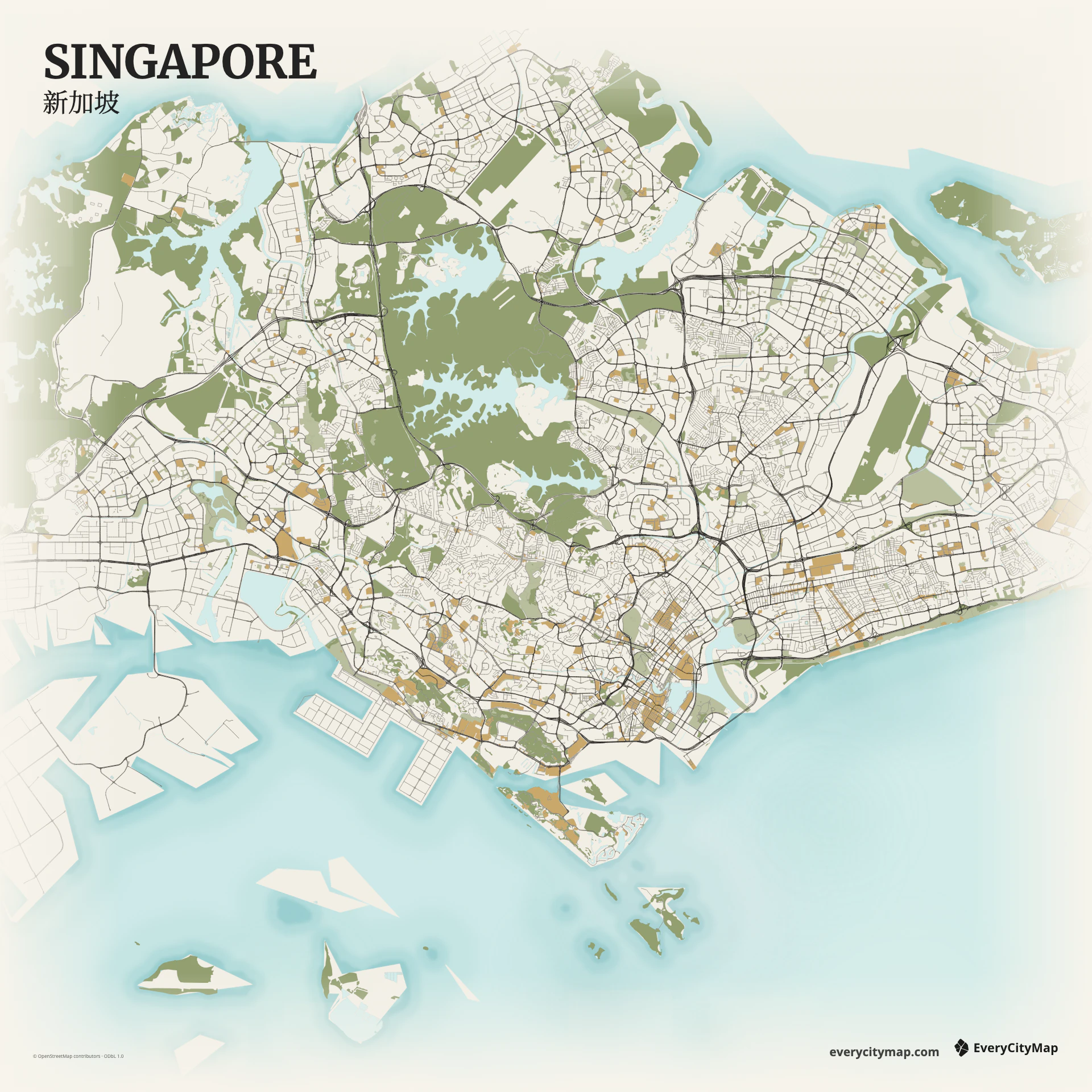 Singapore map with island coast, reservoirs, roads, and green areas