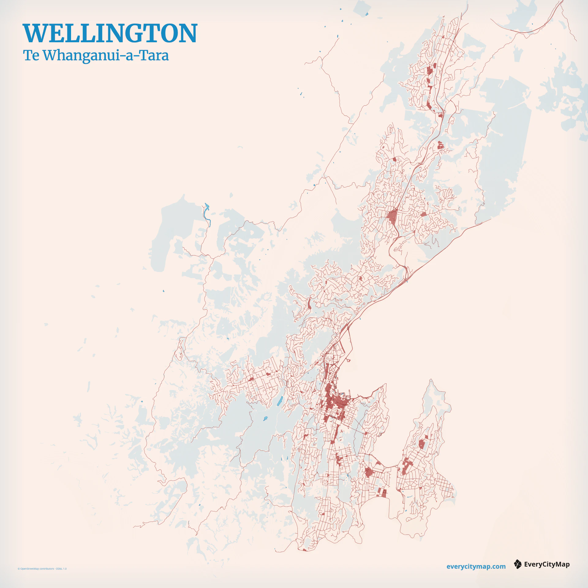 Wellington map showing Wellington Harbour, bays, steep hills, shoreline roads, and compact center